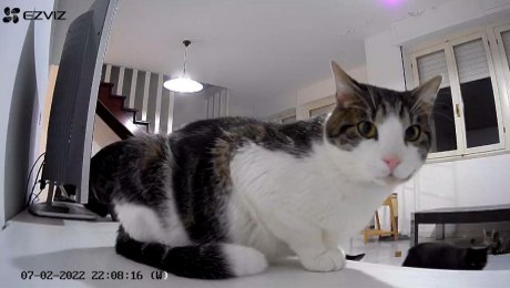 EZVIZMoment6