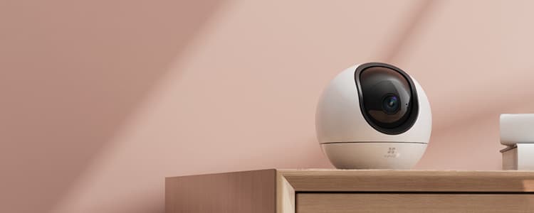 Indoor PT Security Cameras